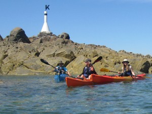 Orange and blue sea kayaks