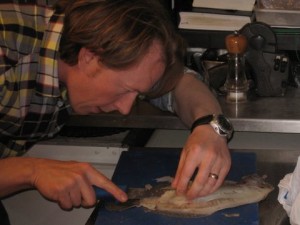 Learning to fillet Brill